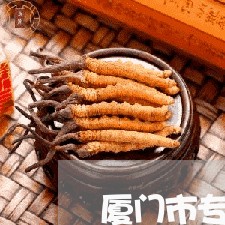厦门市专业的股权律师事务所