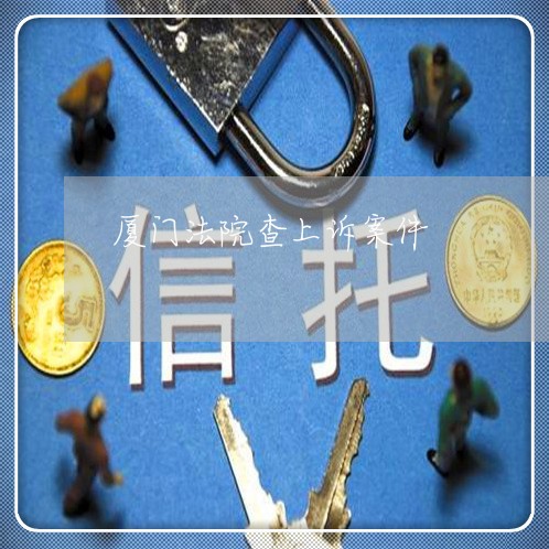 厦门法院查上诉案件
