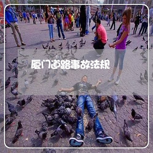 厦门道路事故法规