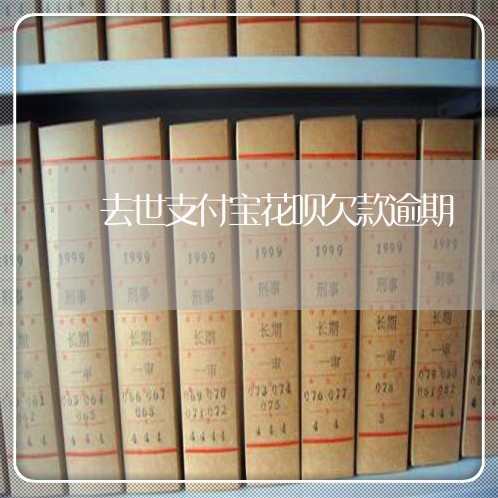 去世支付宝花呗欠款逾期/2023030173623 去世支付宝花呗欠款逾期/2023030173623