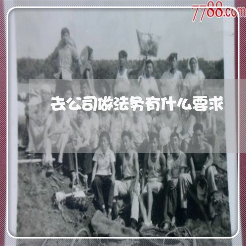去公司做法务有什么要求 去公司做法务有什么要求