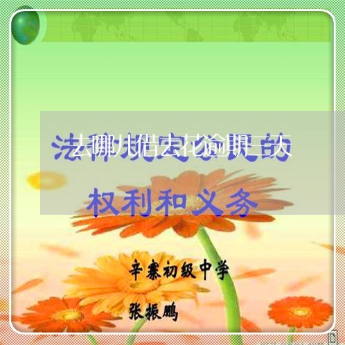 去哪儿借去花逾期三天/2023100545716