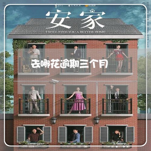 去哪花逾期三个月