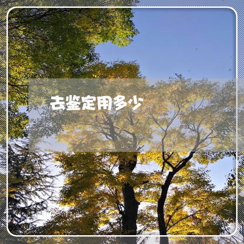 去鉴定用多少