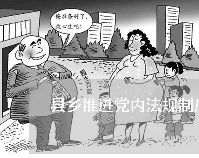 县乡推进党内法规制度建设