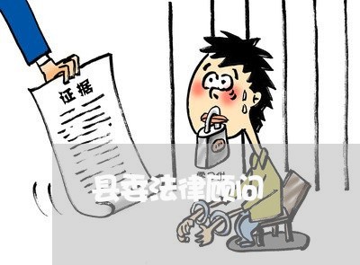 县委法律顾问