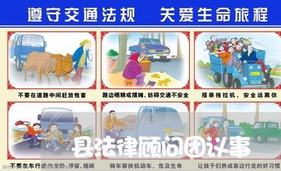 县法律顾问团议事 县法律顾问团议事