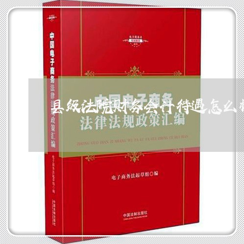 县级法院财务会计待遇怎么样