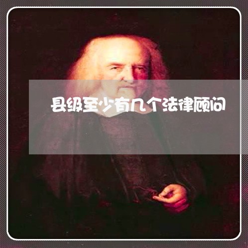 县级至少有几个法律顾问 县级至少有几个法律顾问