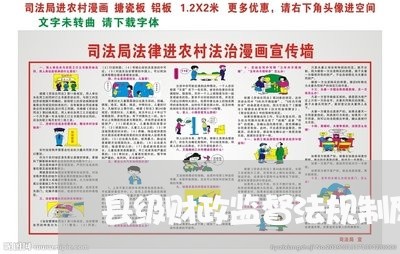 县级财政监督法规制度建设 县级财政监督法规制度建设