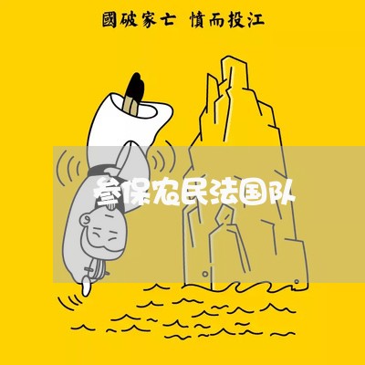 参保农民法国队