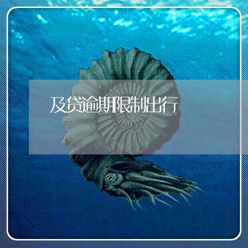 及贷逾期限制出行 及贷逾期限制出行