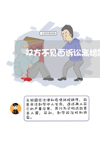 双方不见面诉讼离婚是真的吗/2023060411582