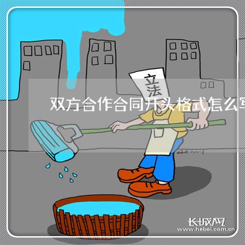 双方合作合同开头格式怎么写/2023022640693 双方合作合同开头格式怎么写/2023022640693