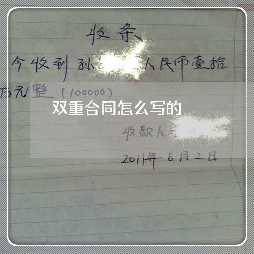 双重合同怎么写的/2023011616158
