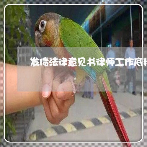 发债法律意见书律师工作底稿