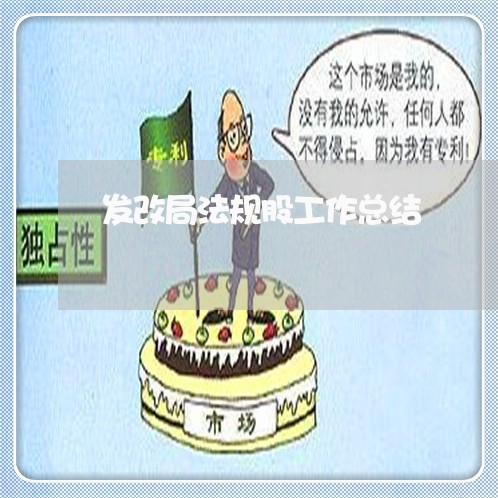 发改局法规股工作总结