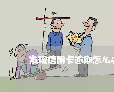 发现信用卡逾期怎么办/2023061648489
