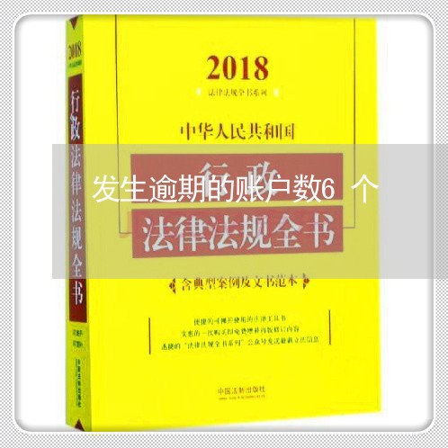 发生逾期的账户数6个/2023120886835