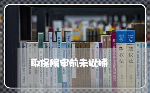取保候审前未批捕/2023042338584