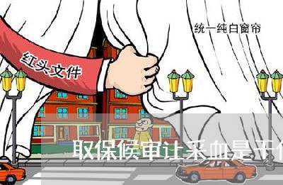 取保候审让采血是干什么的/2023060254727