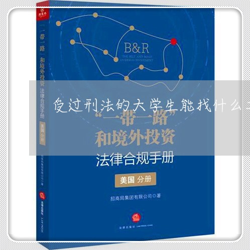 受过刑法的大学生能找什么工作