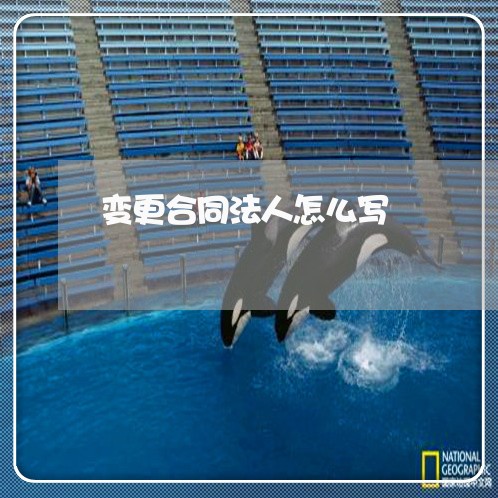 变更合同法人怎么写/2023041176139 变更合同法人怎么写/2023041176139