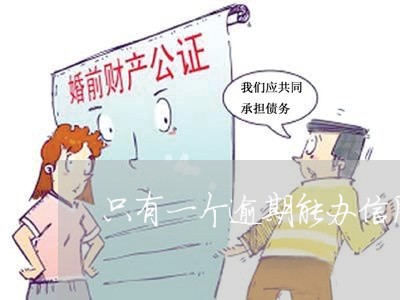 只有一个逾期能办信用卡吗 只有一个逾期能办信用卡吗