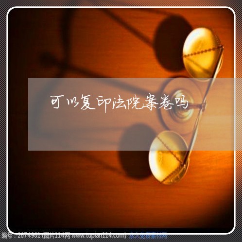 可以复印法院案卷吗