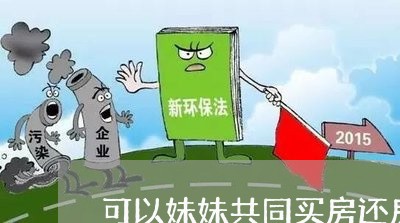 可以妹妹共同买房还房贷/2023041950614