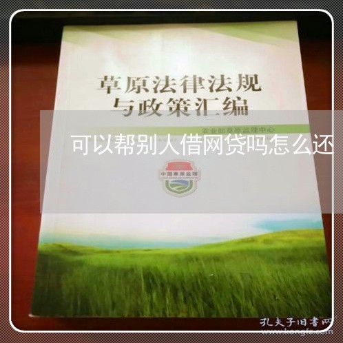 可以帮别人借网贷吗怎么还/2023111423959