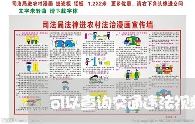 可以查询交通违法视频吗