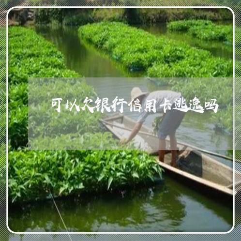 可以欠银行信用卡逃逸吗 可以欠银行信用卡逃逸吗