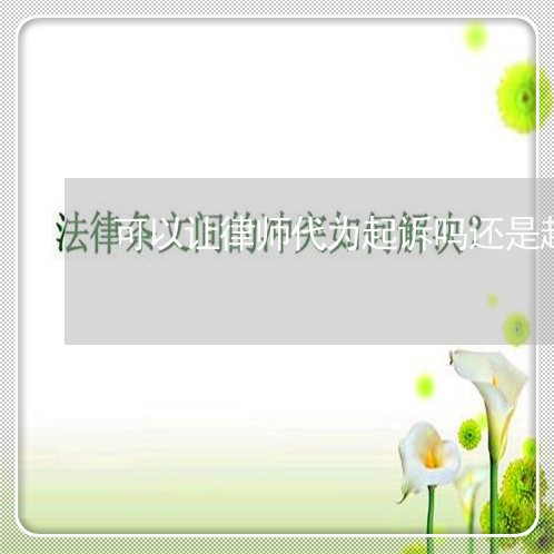 可以让律师代为起诉吗还是起诉/2023061238040