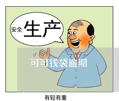 可可钱袋逾期