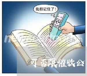 可否跟催收公司协商还款/2023110842583