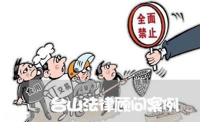 台山法律顾问案例