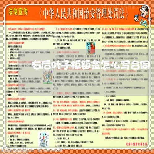 右后叶子板钣金怎么写合同/2023060483727