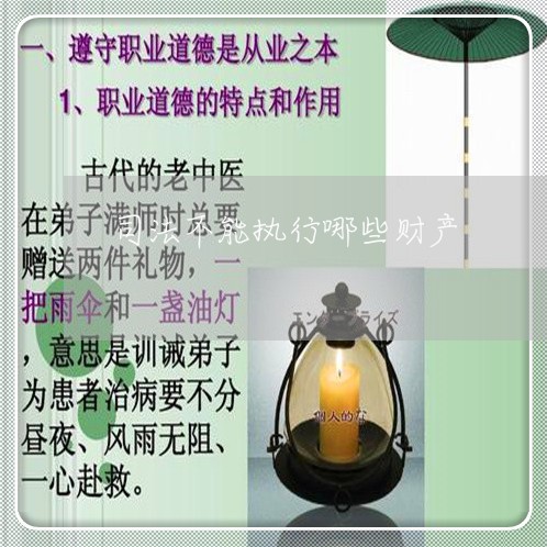 司法不能执行哪些财产