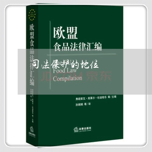 司法保护的地位 司法保护的地位