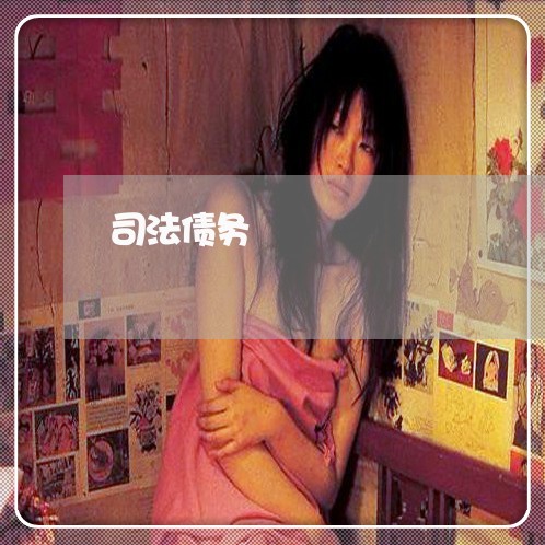司法债务 司法债务