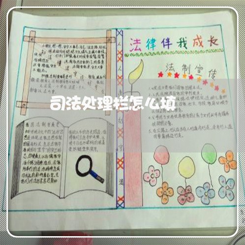 司法处理栏怎么填