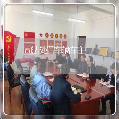 司法处置车辆车主 司法处置车辆车主