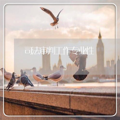 司法审判工作专业性