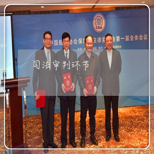 司法审判环节 司法审判环节