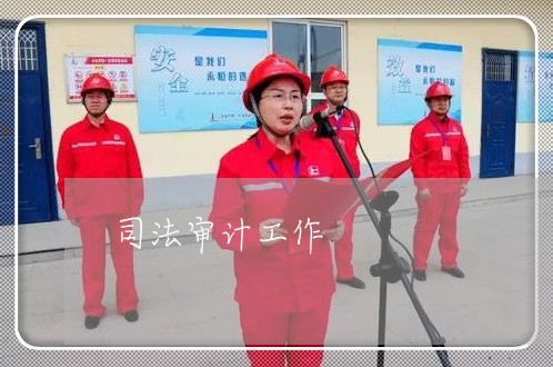 司法审计工作 司法审计工作
