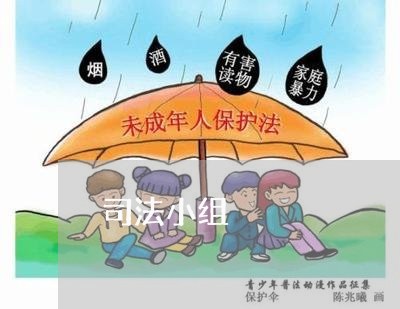 司法小组 司法小组