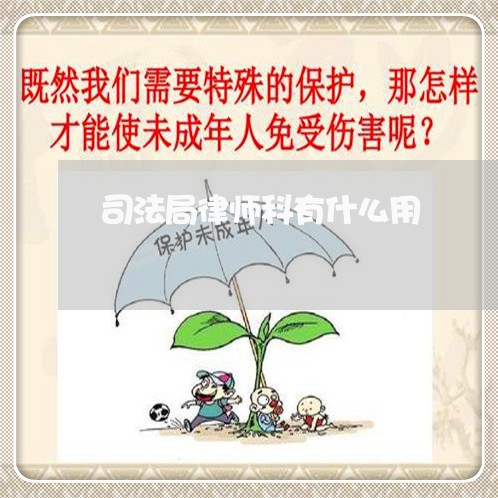 司法局律师科有什么用