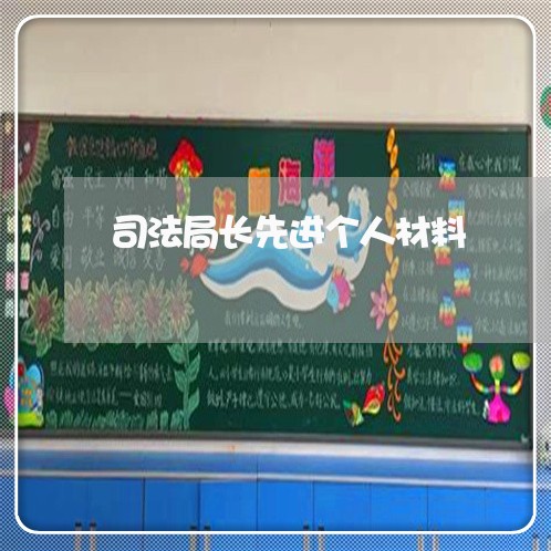 司法局长先进个人材料