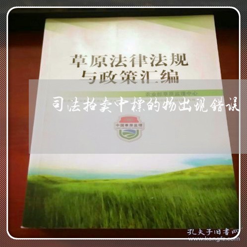 司法拍卖中标的物出现错误